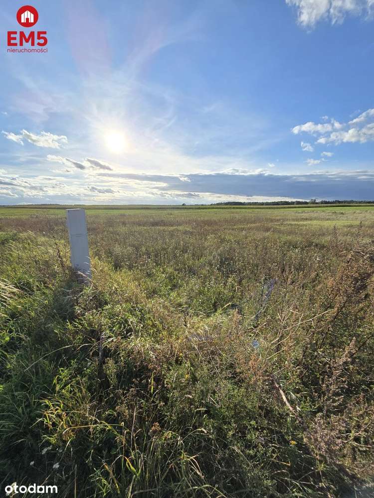 Działka budowlana blisko Narwi z WZ. - Pełny obrazek: 1/5