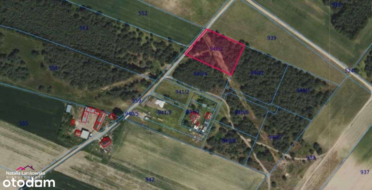 Działki na sprzedaż, Lipinki, Gmina Warlubie - Pełny obrazek: 5/6