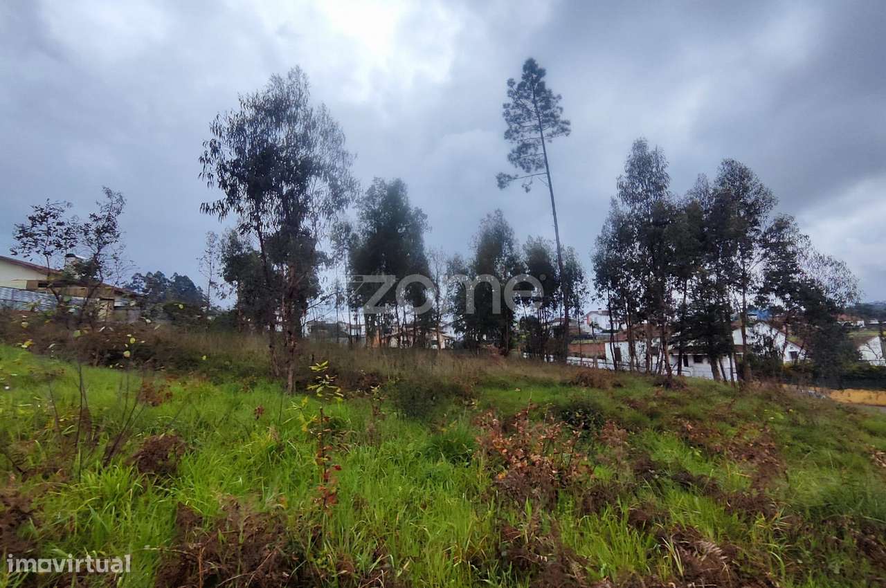 Terreno de 3.470m² para Construção em Oliveira de Azeméis-17