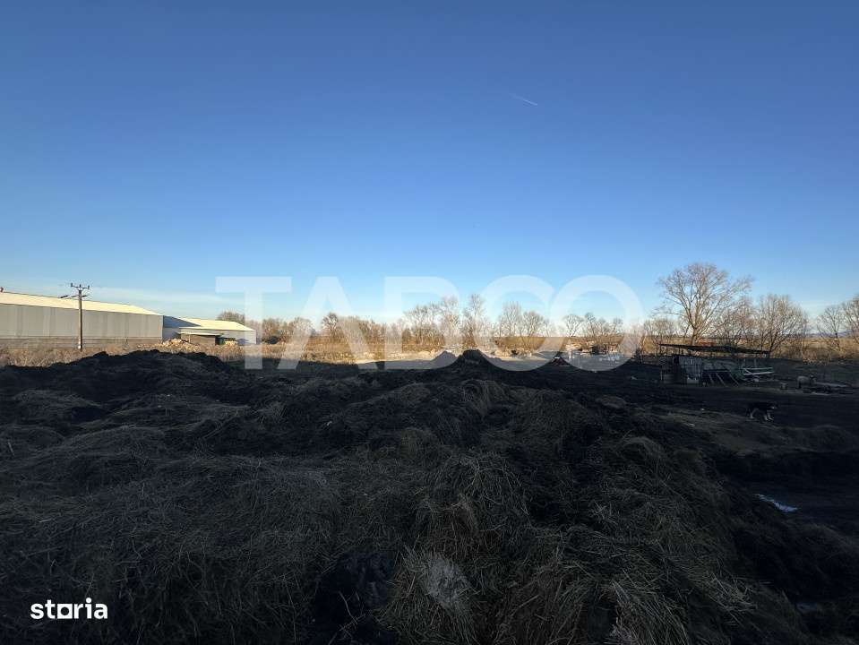 Vanzare hala Industriala cu teren intravilan de 650 mp in Ileni - Imagine principală: 2/2
