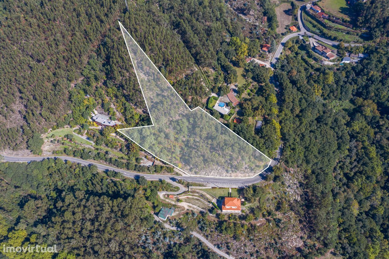 Terreno Florestal com Vistas desafogadas 20ha