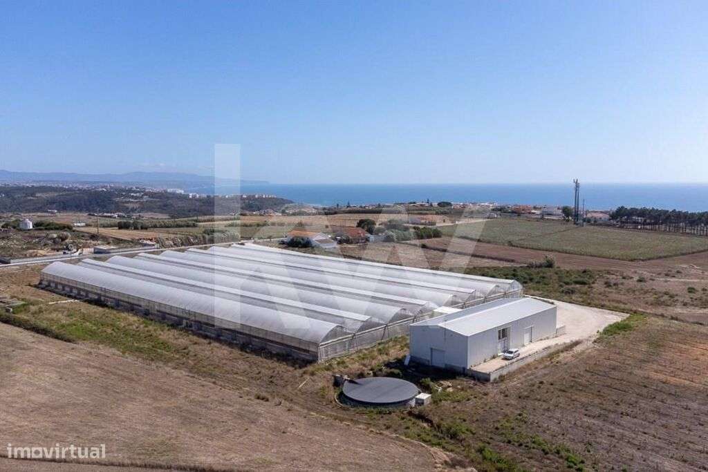 Terreno com 4 hectares com Fabulosa Vista de Mar - PIP Aprovado - Proj - Grande imagem: 1/40