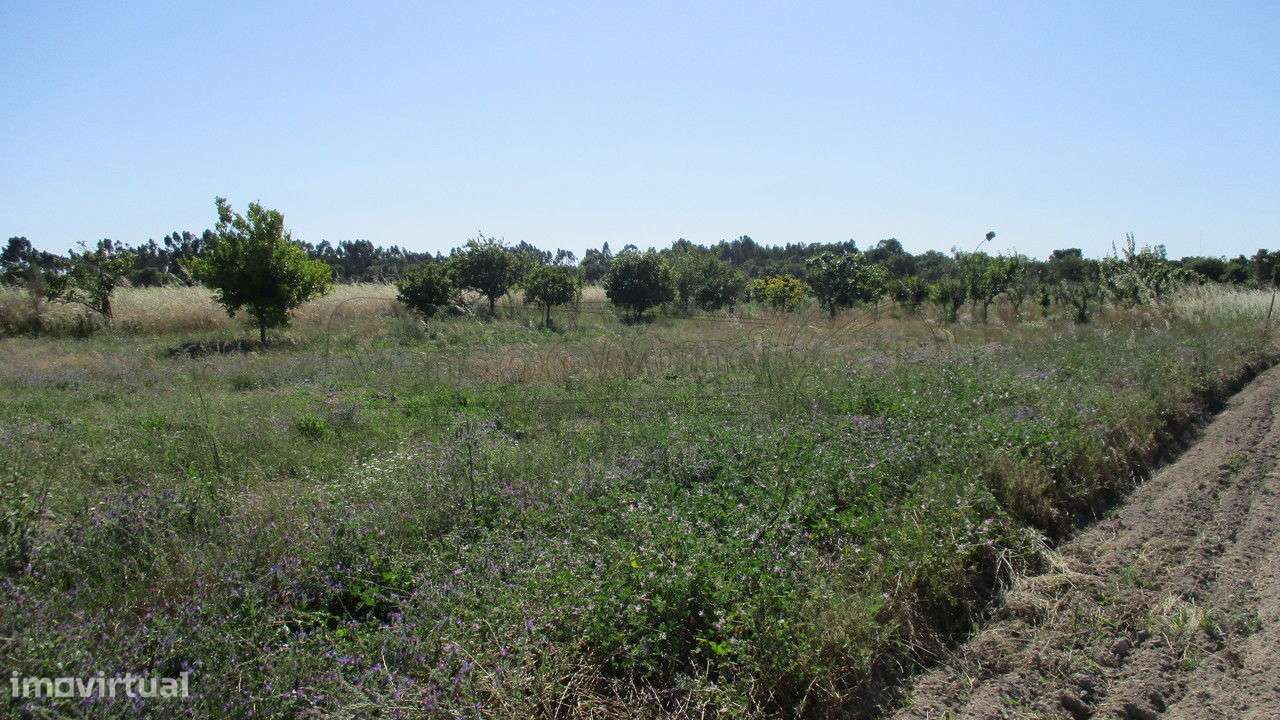 Terreno no Granho  (G033) - Grande imagem: 4/5