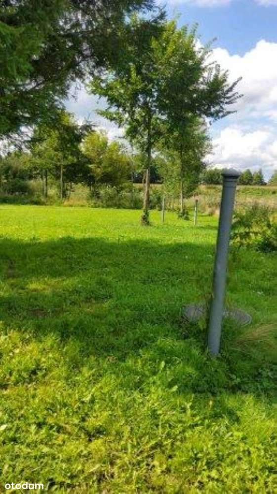 Nieruchomość Czyżew-Ruś-Kolonia,  udział 1/8, OD SYNDYKA - Pełny obrazek: 4/5