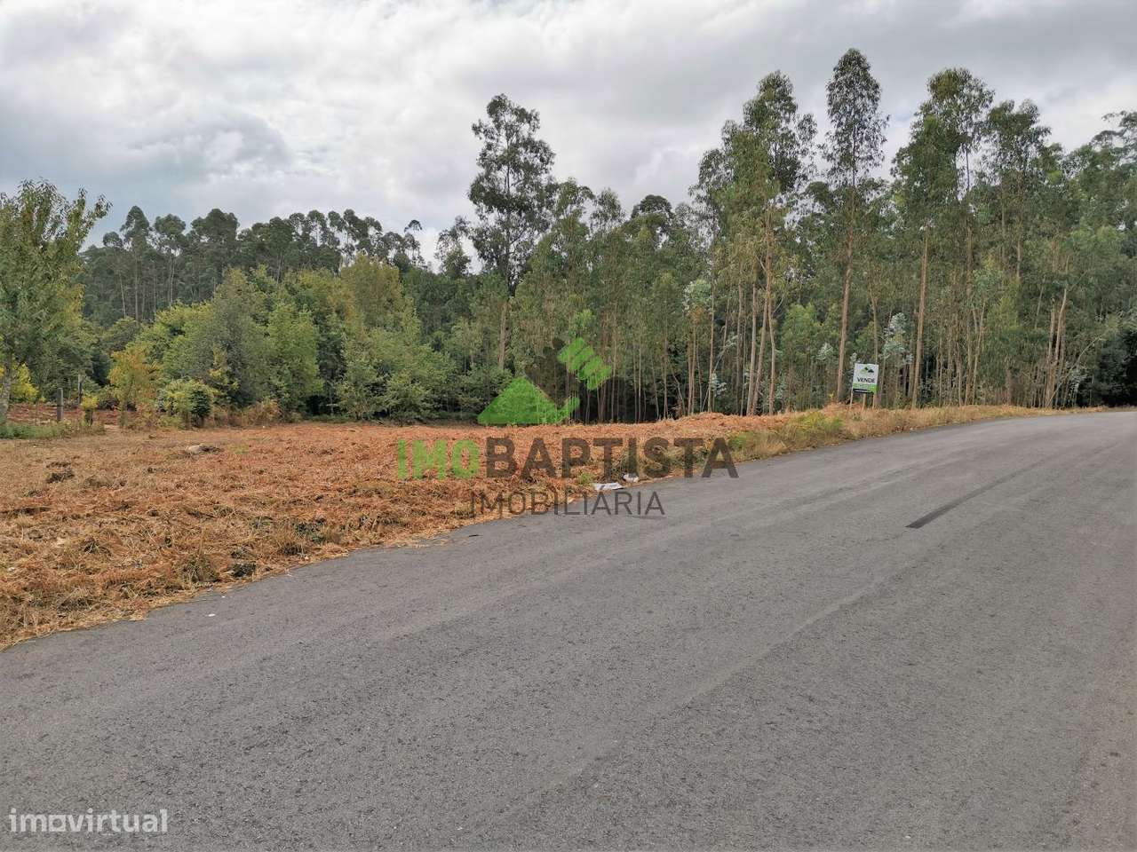 Terreno p/construção em Lobão - Grande imagem: 3/12