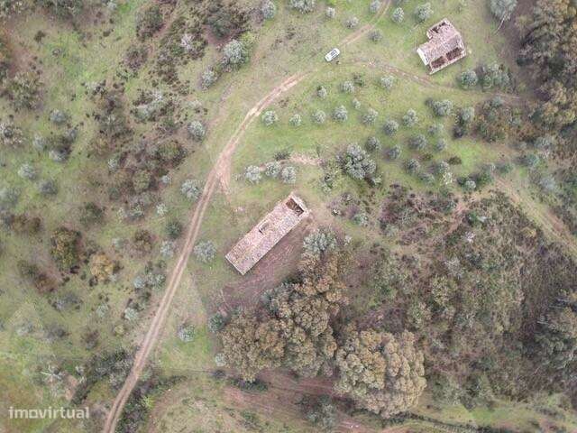 Herdade 60ha em Grândola — PIP de 2021 (actualmente caducado) para con - Grande imagem: 4/13