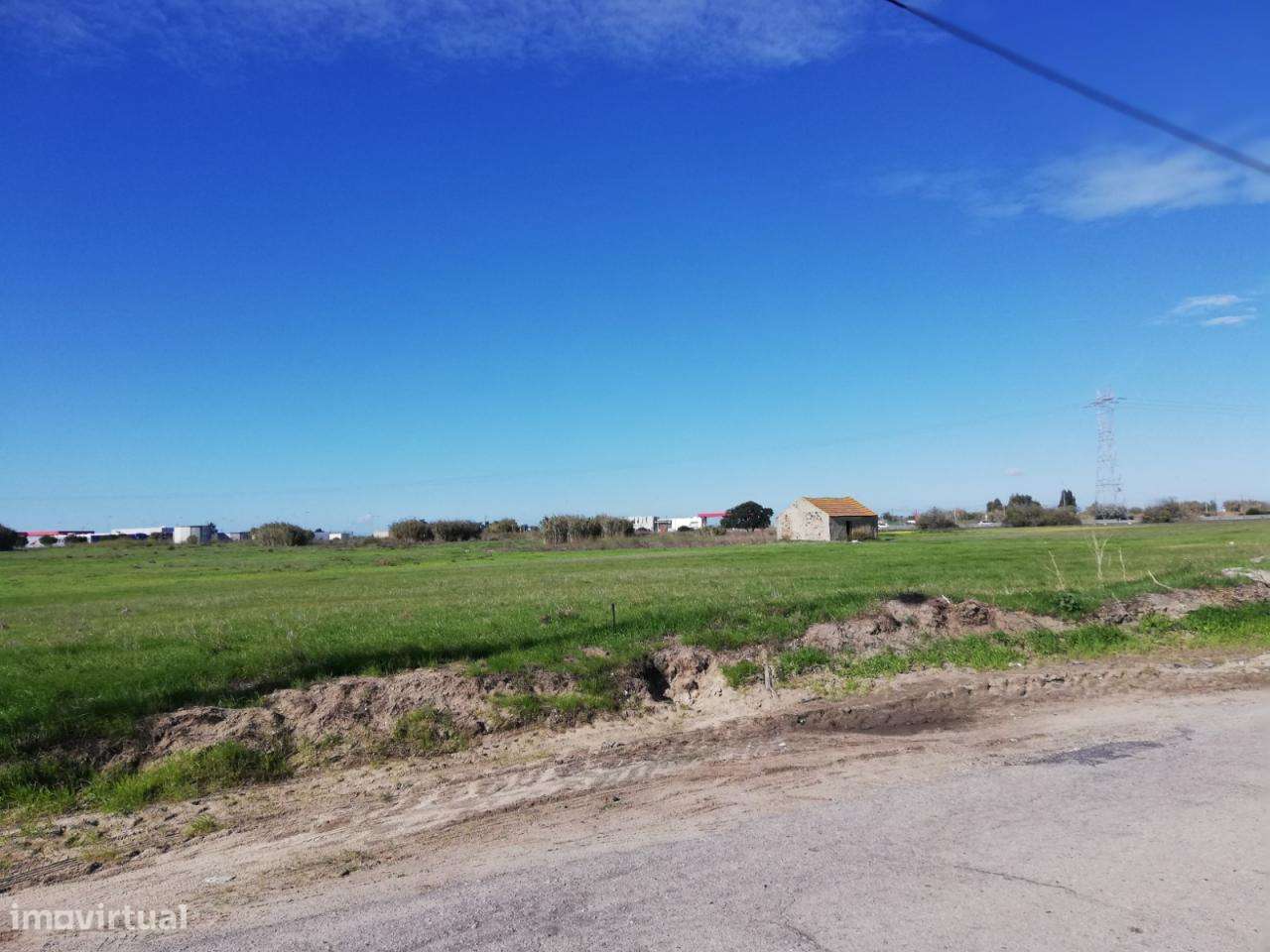 Terreno Junto á A33, 4,7 ha, boa localização várias possibilidades - Grande imagem: 4/9