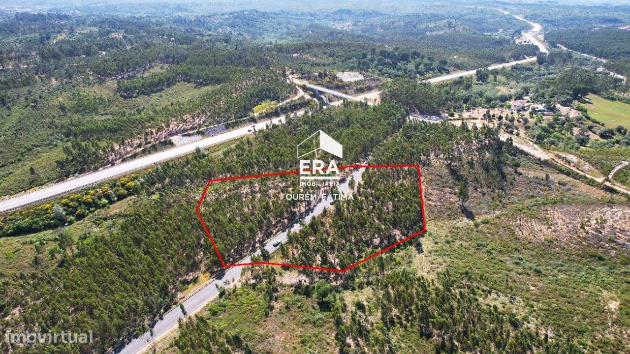 Terreno Rústico localizado em Carregueiros, Tomar - Grande imagem: 3/16