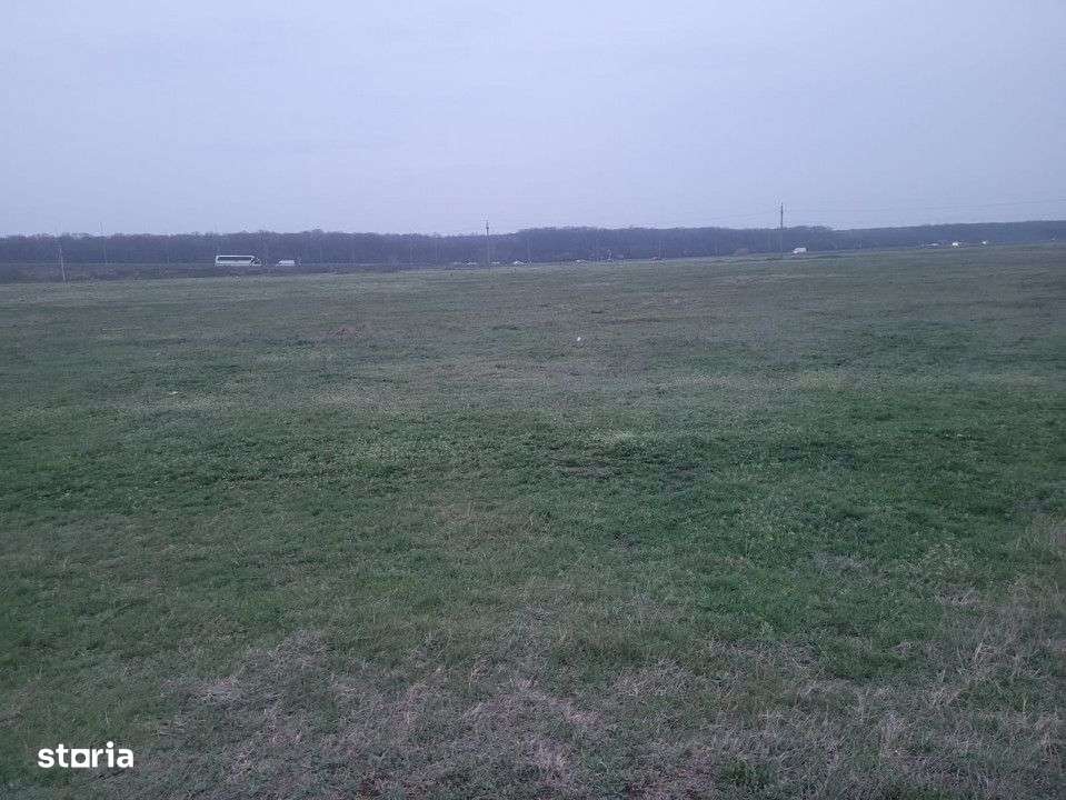 Vand doua terenuri, 5000 si 7500 m², in Pipera, aproape de cartierul - Imagine principală: 3/6