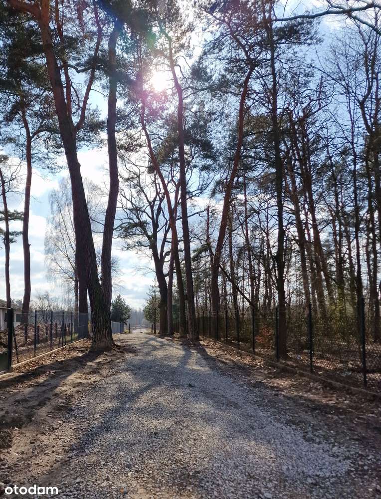 Na skarpie Powsińskiej-1