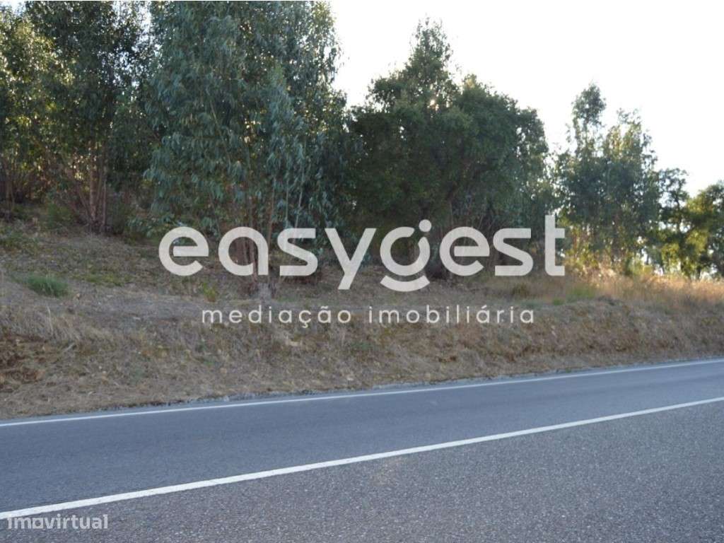 Terreno com 1 Ha junto aos acessos da A23 em Vila Nova da Barquinha - Grande imagem: 5/15