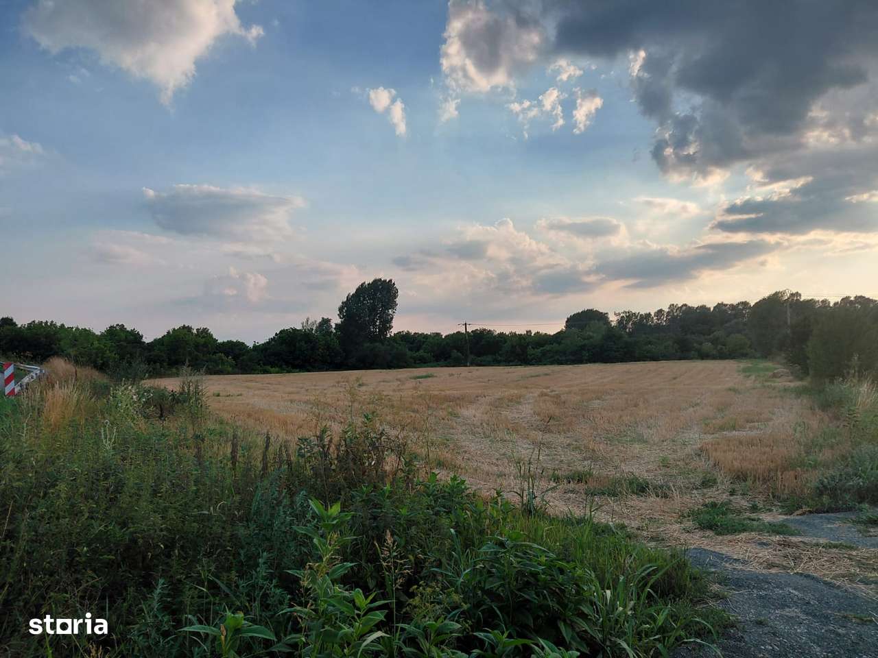 Teren de vanzare in Sebis - Imagine principală: 4/6