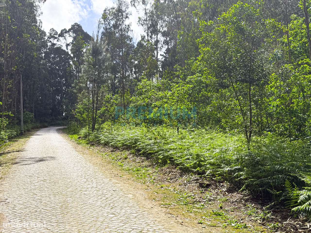 Terreno em Creixomil-7
