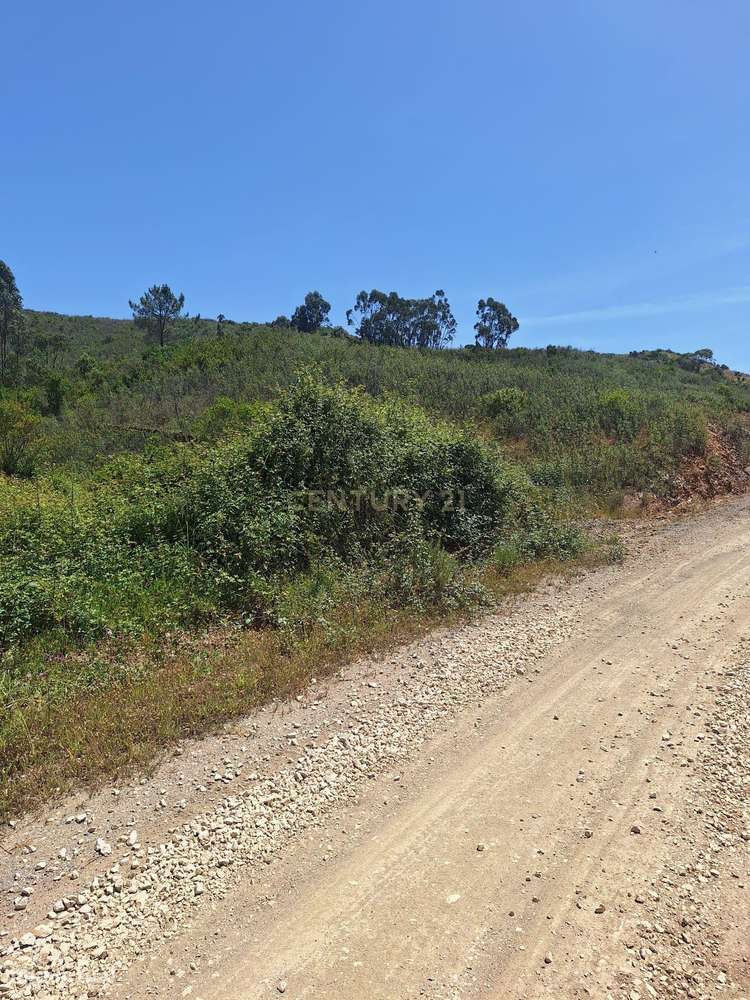 Terreno com 89.030 m² à venda em São Bartolomeu de Messines-10