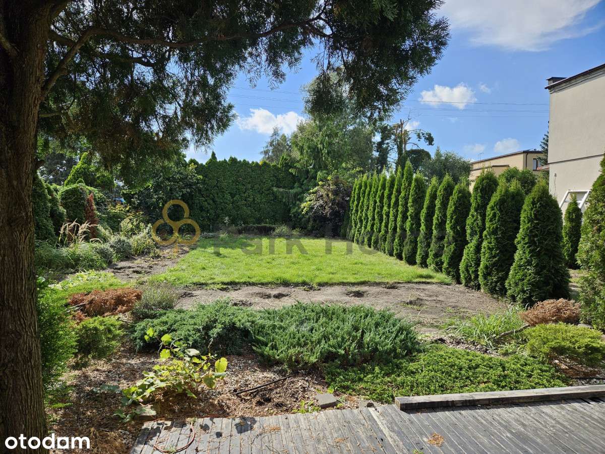 W centrum Przeźmierowa - Pełny obrazek: 1/7