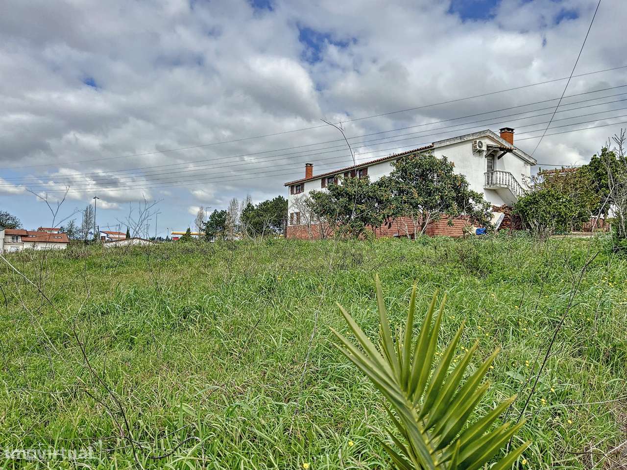 Quintinha em Óbidos-25