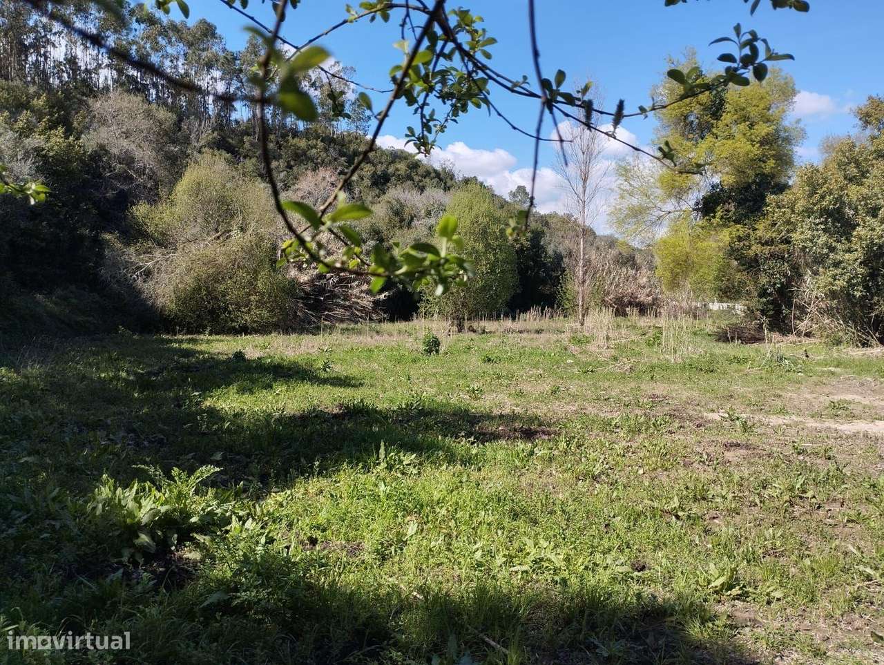 Terreno em Almoster - Santarém - Grande imagem: 4/5