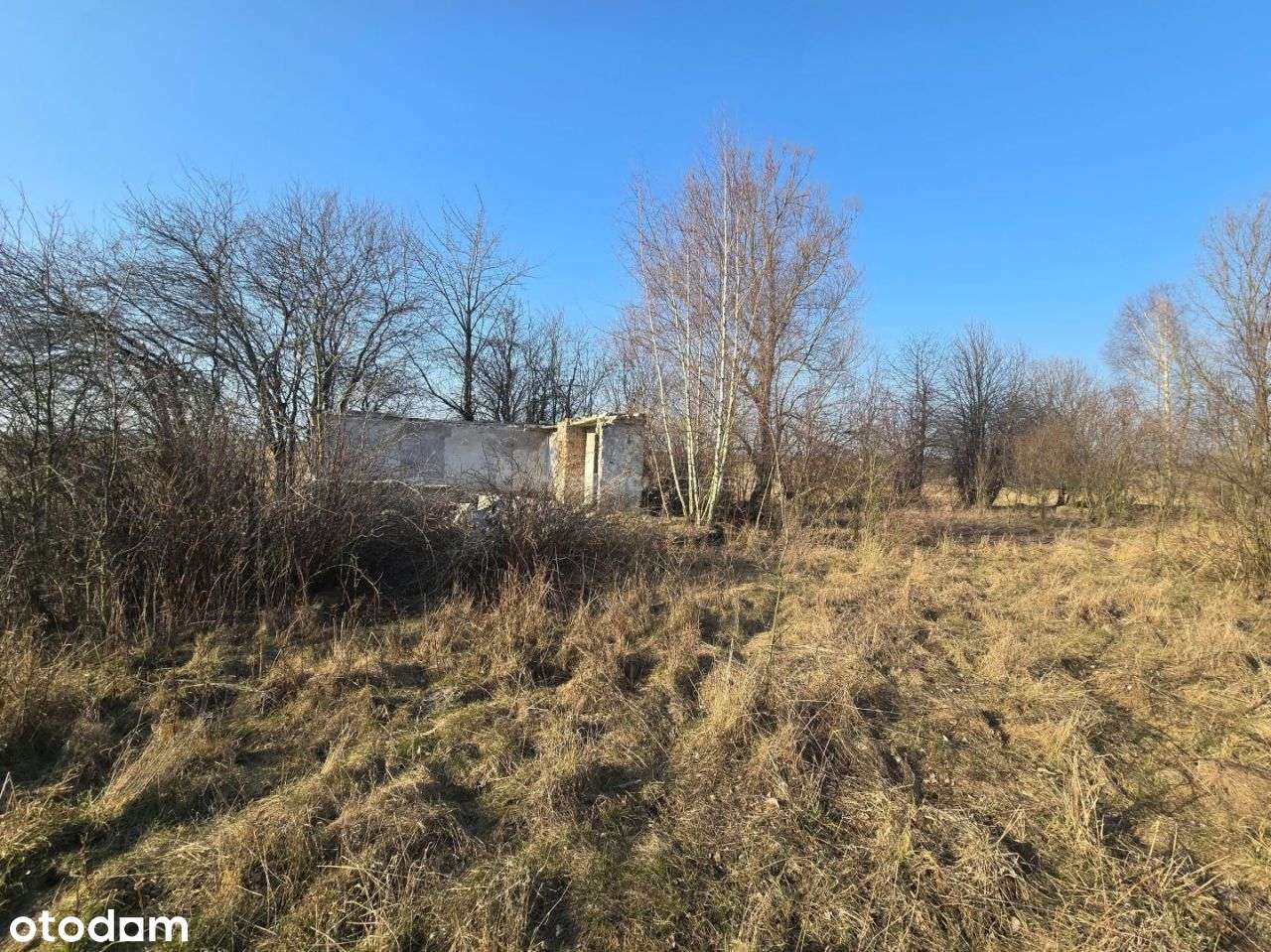 Działka budowlana bez sąsiedztwa 4000mkw. - Pełny obrazek: 5/10