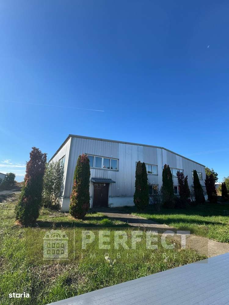 Hale industriale 2 x 1920mp DN1 de inchiriat la 3.9 euro/mp neg. - Imagine principală: 3/17