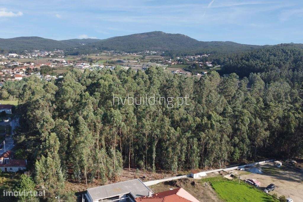 Terreno com área total de 5.242m2 de construção em Perelhal, Barcelos - Grande imagem: 5/9