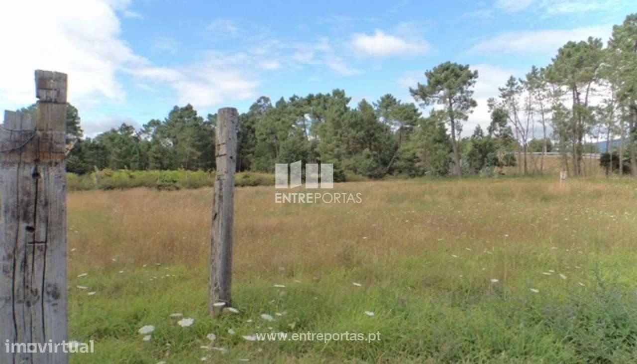 Venda de Terreno de construção, Vila Meã, Vila Nova de Cerceira. - Grande imagem: 3/7