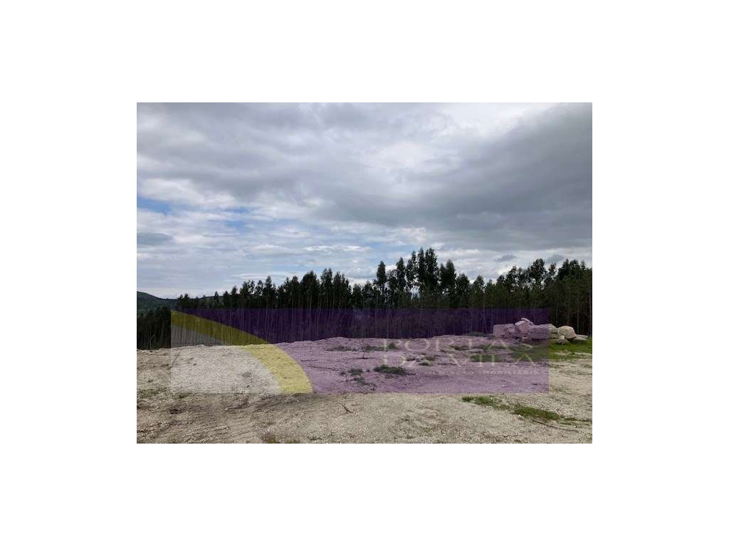 Terreno, Celorico de Bastos - Grande imagem: 4/14