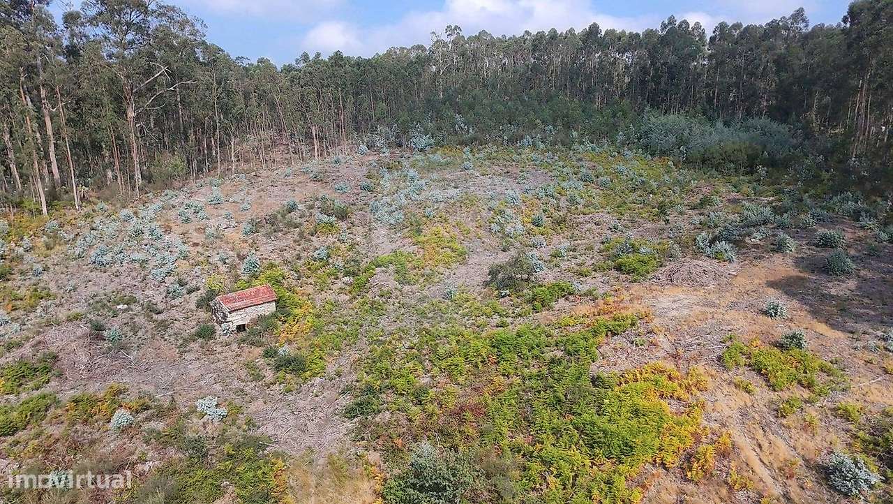 Terreno  para venda-6