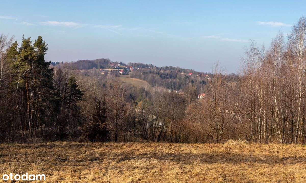 Nowy Wiśnicz 3 km działka budowlana  16 ar - Pełny obrazek: 5/12