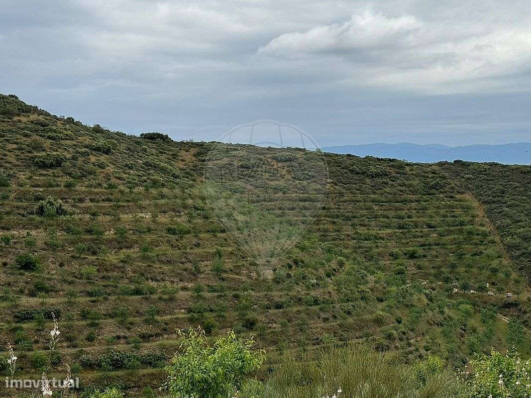 Terreno  para venda - Grande imagem: 5/11