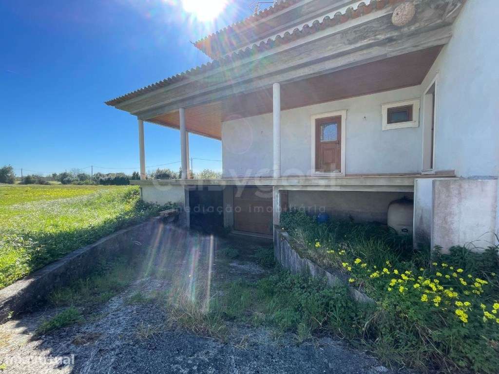 Moradia T5 localizada em Lamarosa, São Martinho de Árvore, a 15 min... - Grande imagem: 3/28