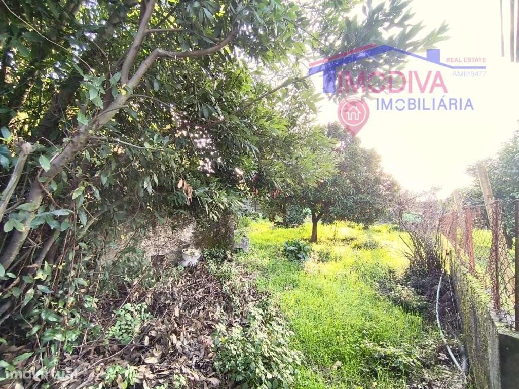 Casa Rústica com terreno situado em Troviscais, Pedrogão Grande-22