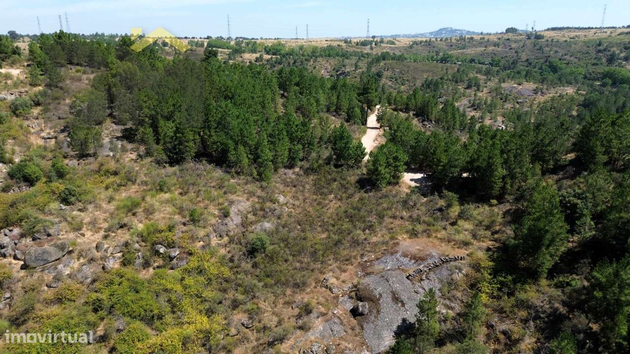Terreno Rústico  Venda em Póvoa de Rio de Moinhos e Cafede,Castelo Bra - Grande imagem: 4/7