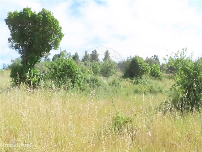 Quinta  para venda-3