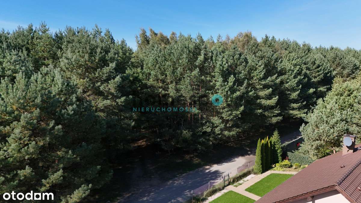 | Działka | Las | Natura | Jezioro | Stęszewko |-2