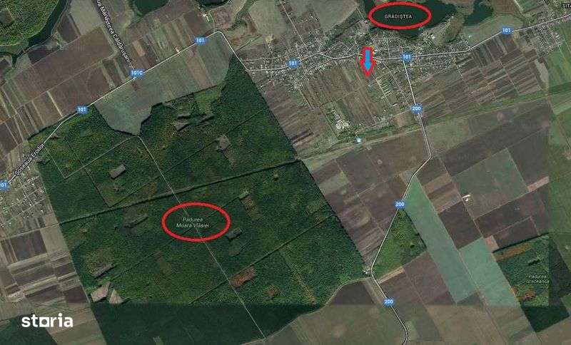 Vanzare 4600 mp Gradistea Ilfov strada Rozmarin - Imagine principală: 4/4