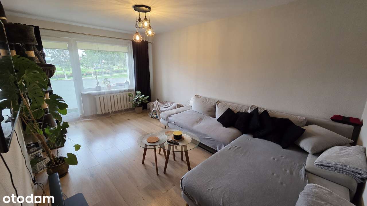 Parter 48,1m2 - 2 pokoje po remoncie ul. Kotabińskiego 11-5