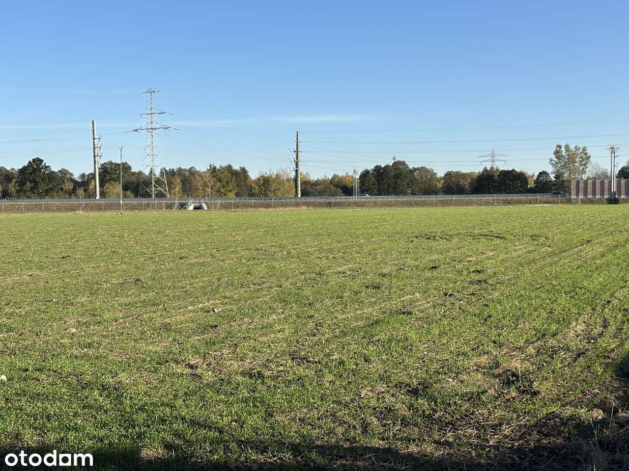 TEREN INWESTYCYJNY trasa S7, zjazd na Mroków i Złotokłos - Pełny obrazek: 5/11