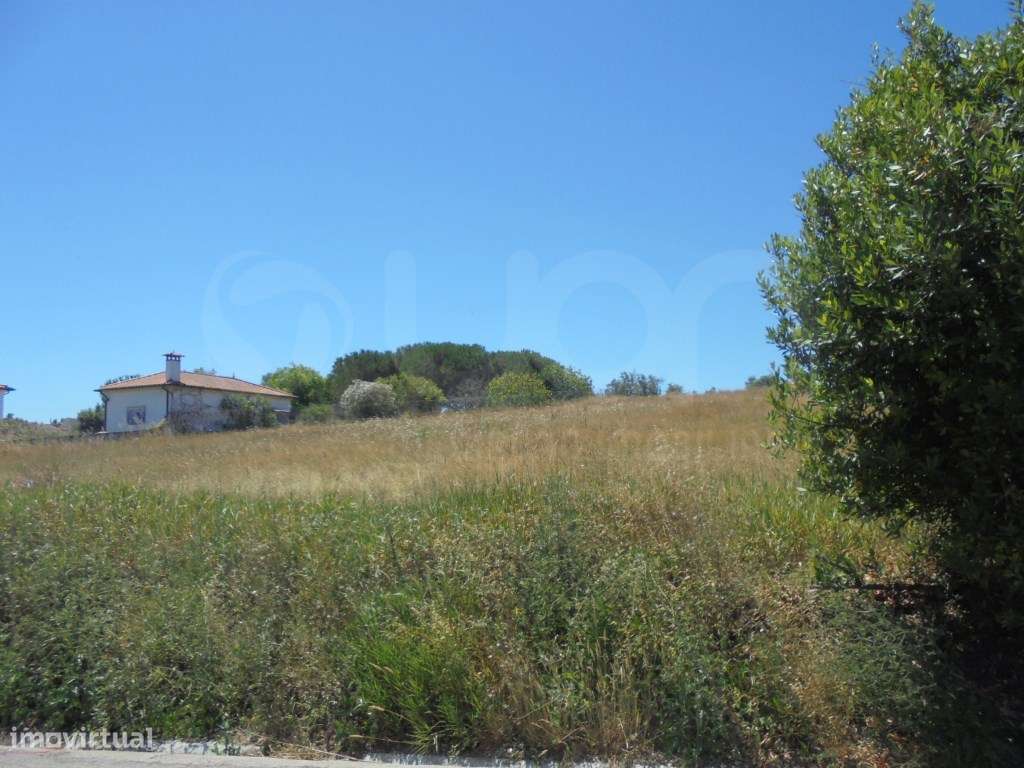 Terreno Rústico Soure - Grande imagem: 4/6