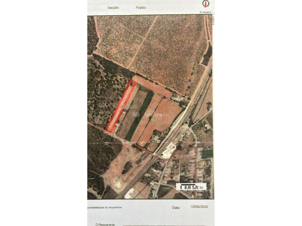 Armazém inserido em terreno rústico com 5.998 m² em Mato Miranda - ... - Grande imagem: 4/5