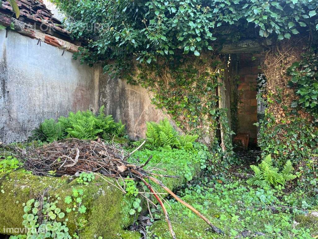 Casa rural para recuperação em Ansião-17