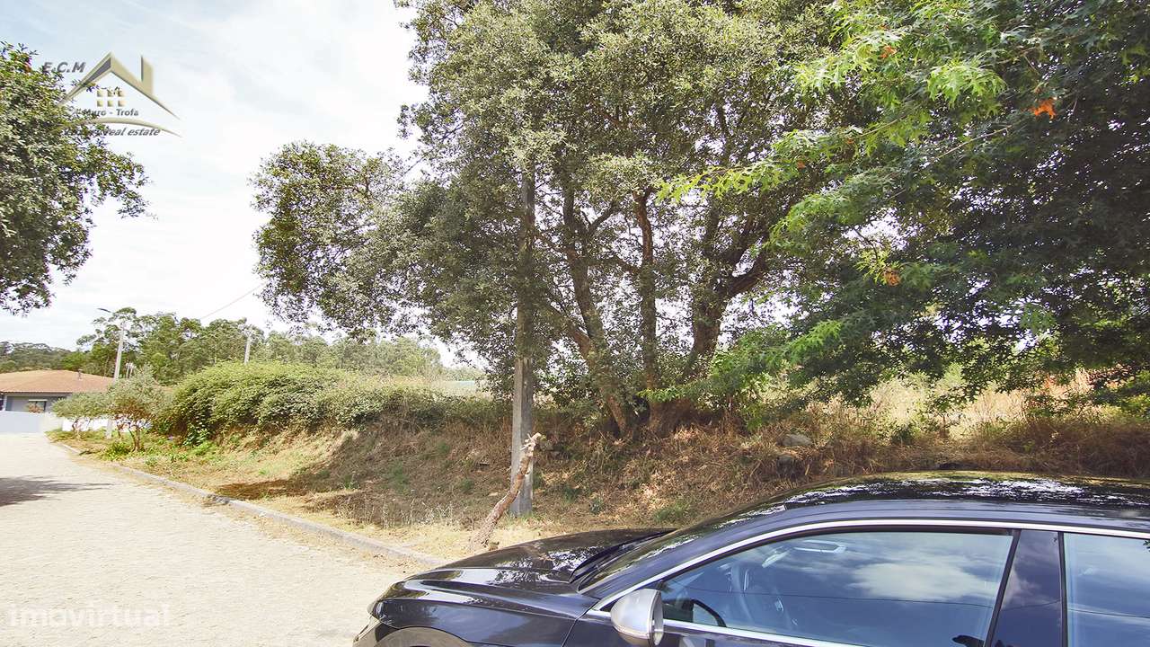 Terreno 20.000m/2 Macieira da Maia-45