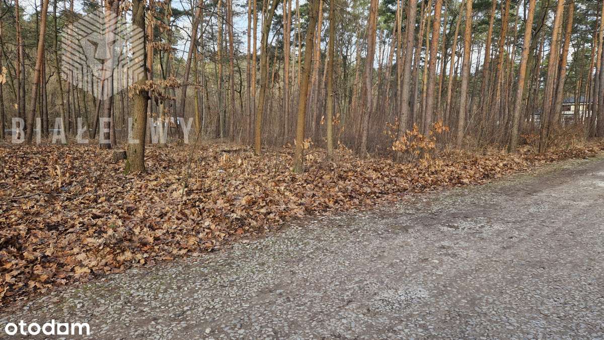 Działka budowlana w Łomiankach. Otulinia Kampinosu - Pełny obrazek: 4/8