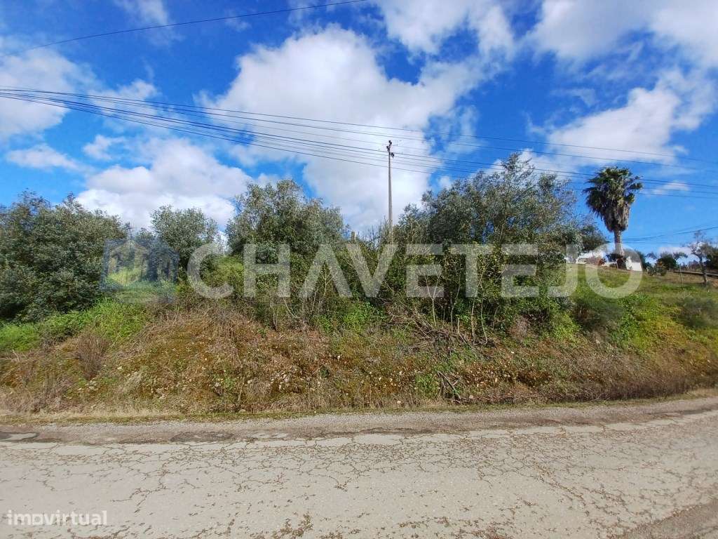 Terrenos com ruínas perto de São Pedro de Tomar. - Grande imagem: 5/15