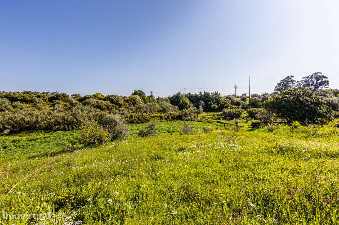 Apresento terreno agrícola com apoio habitacional T2 no Cartaxo-22