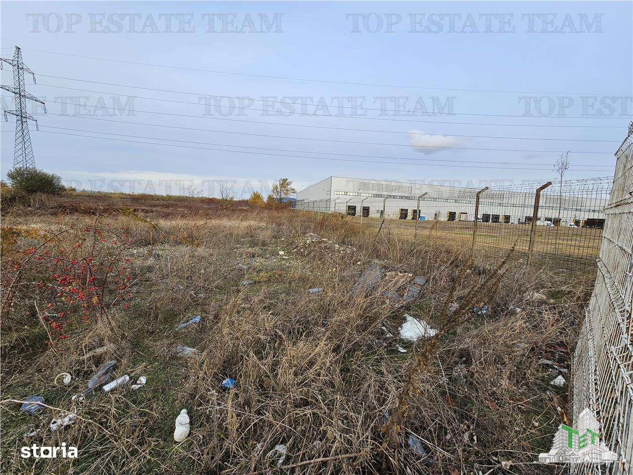 Teren industrial Chiajna 4800mp in Logistics Park - Imagine principală: 3/5