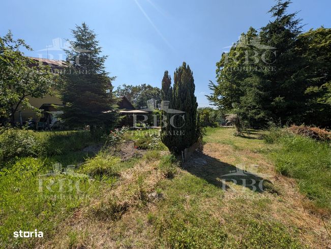 Teren pentru constructie casa in Faget-5