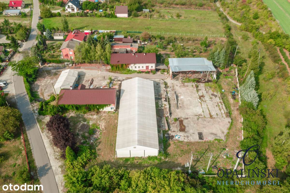 Działka z halą i magazynami 6400m2 w Annopolu - Pełny obrazek: 4/20