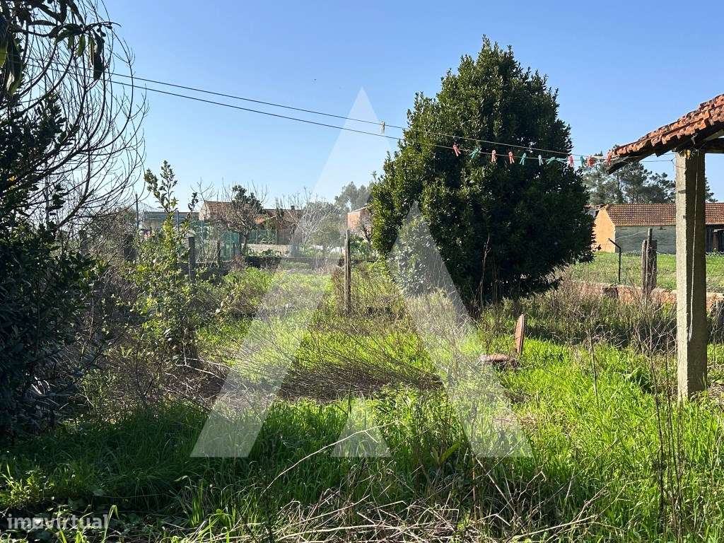 Moradia na Mamarrosa-17