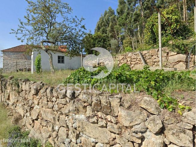 Moradia T3 em Penhalonga, Marco de Canaveses | Próxima do Rio Douro-14