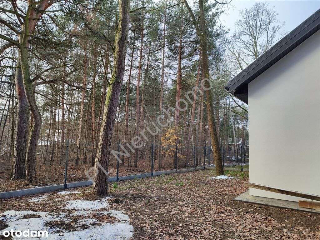 Przytulna parterówka w lesie sosnowym - Pełny obrazek: 4/11